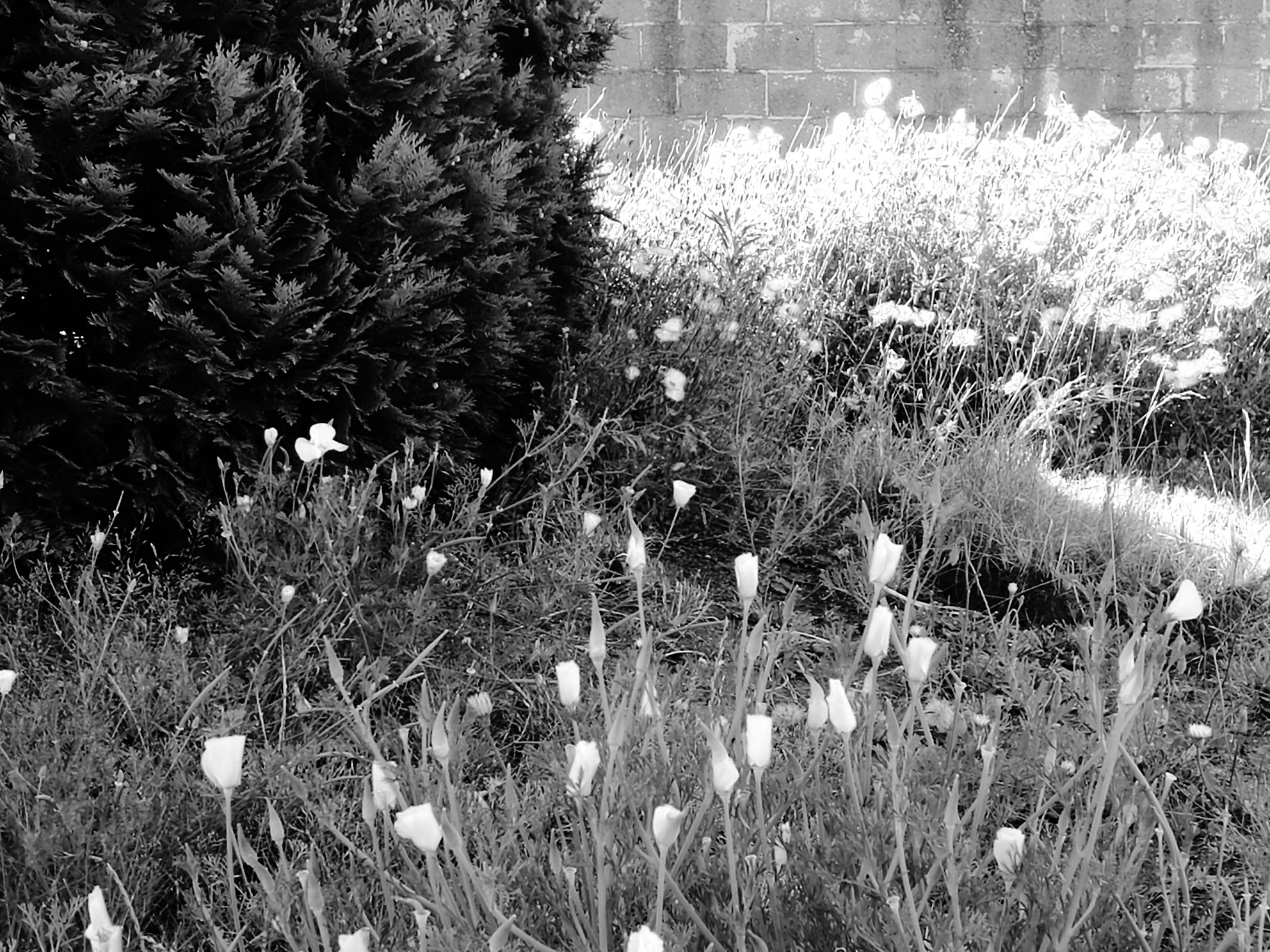 Poème – Un week-end à la campagne