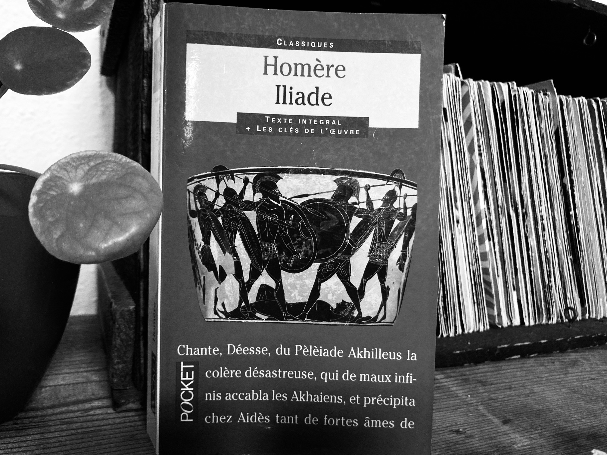 Un extrait de l’Iliade, chef d’œuvre européen